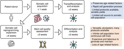 Transgene and Chemical Transdifferentiation of Somatic Cells for Rapid and Efficient Neurological Disease Cell Models